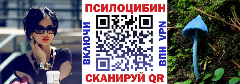 Псилоцибиновые грибы Magic Shrooms  Купить закладки  Сычёвка 